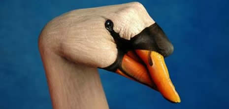 Boyalı ellerin görsel şöleni