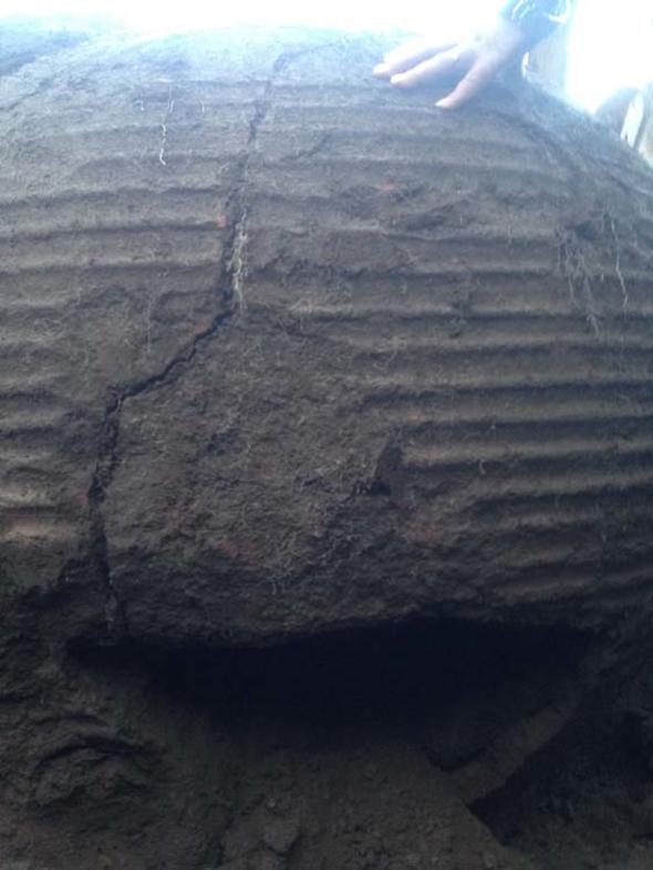 Tarlayı sürerken buldu! galerisi resim 2