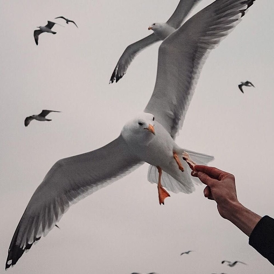 Instagram fenomenlerinin gözünden İstanbul galerisi resim 36