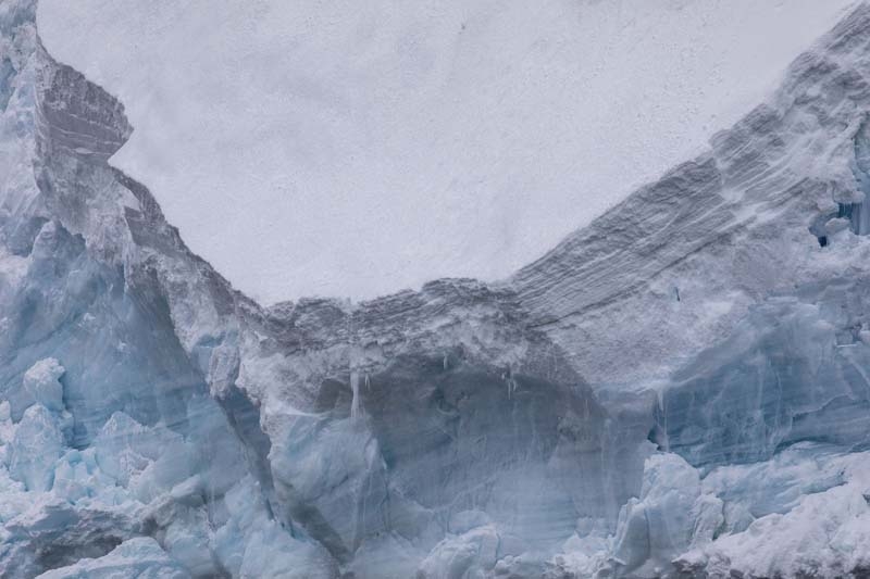 Türk Bilim İnsanları'nın objektifinden Antarktika galerisi resim 14