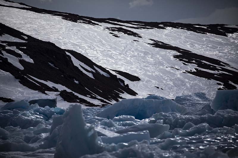 Türk Bilim İnsanları'nın objektifinden Antarktika galerisi resim 19