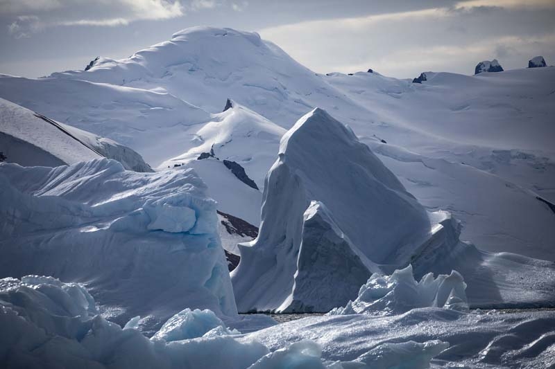 Türk Bilim İnsanları'nın objektifinden Antarktika galerisi resim 2