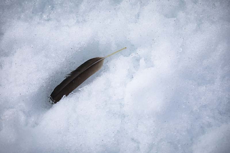 Türk Bilim İnsanları'nın objektifinden Antarktika galerisi resim 22