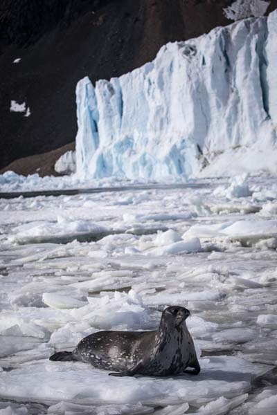 Türk Bilim İnsanları'nın objektifinden Antarktika galerisi resim 24
