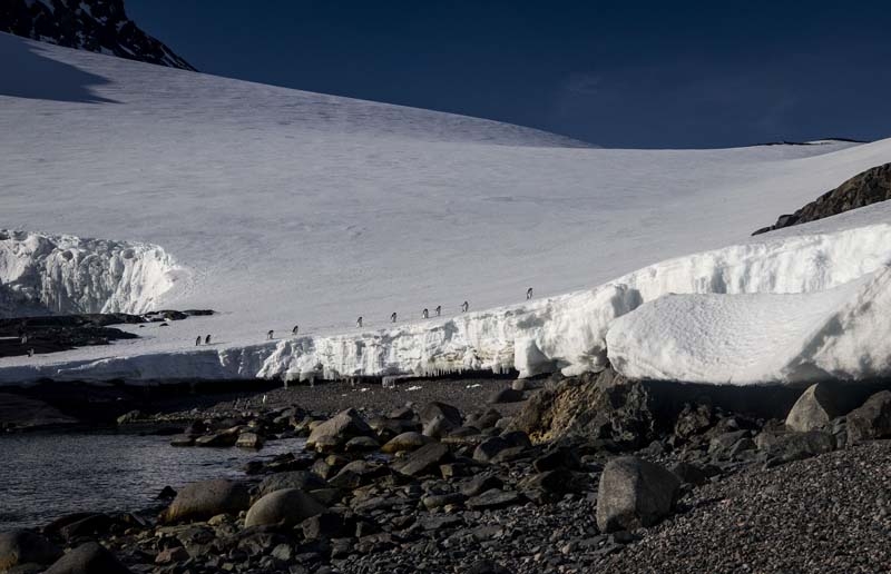 Türk Bilim İnsanları'nın objektifinden Antarktika galerisi resim 4