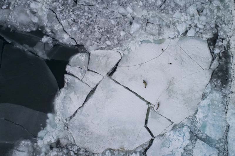 Türk Bilim İnsanları'nın objektifinden Antarktika galerisi resim 40