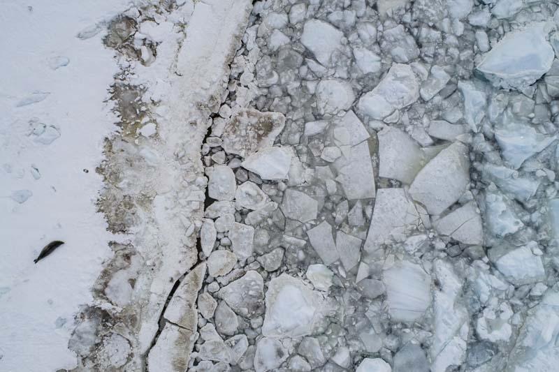 Türk Bilim İnsanları'nın objektifinden Antarktika galerisi resim 42