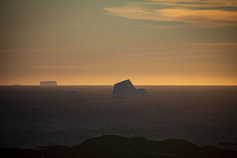Türk Bilim İnsanları'nın objektifinden Antarktika galerisi resim 49