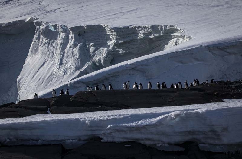 Türk Bilim İnsanları'nın objektifinden Antarktika galerisi resim 7