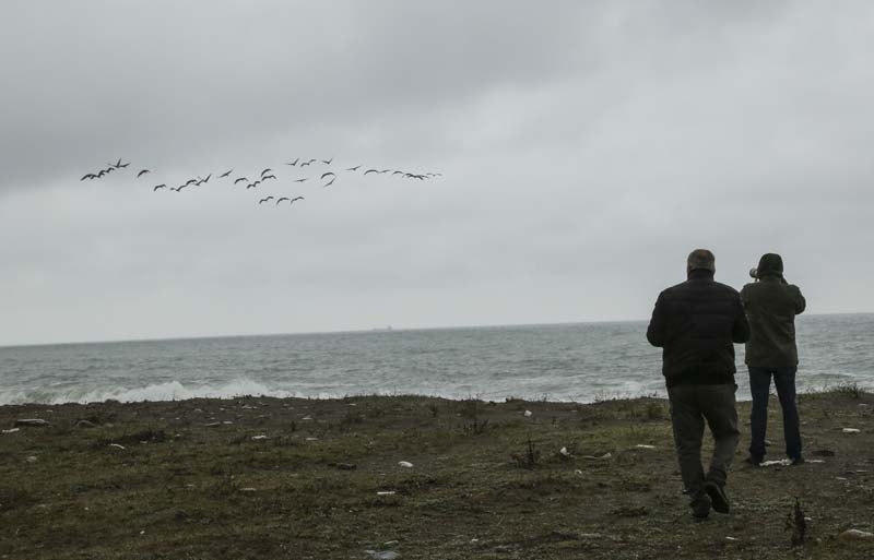 TELLİ TURNALAR GERİ DÖNDÜLER galerisi resim 12