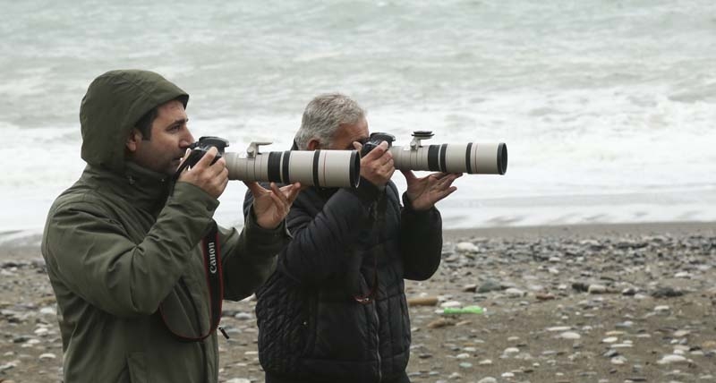 TELLİ TURNALAR GERİ DÖNDÜLER galerisi resim 2