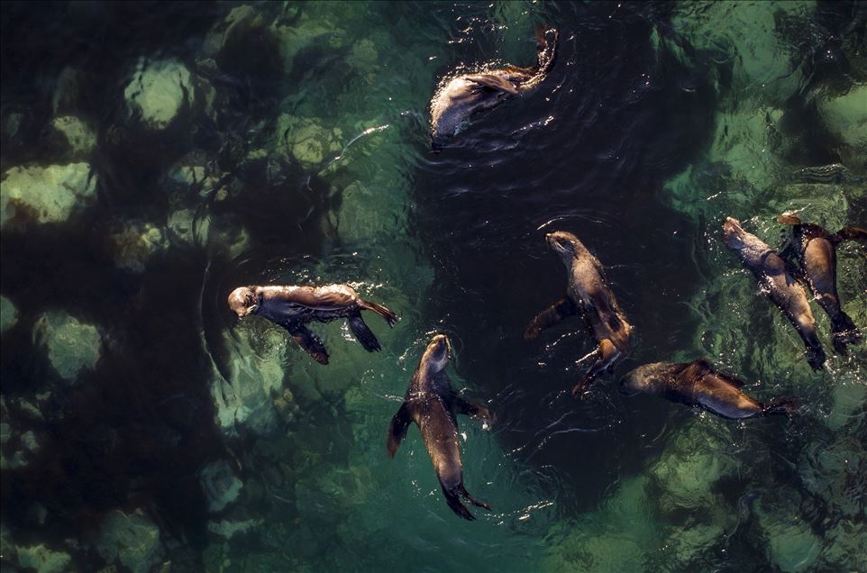 OBJEKTİFLERE TAKILAN BİRBİRİNDEN İLGİNÇ KARELER galerisi resim 1