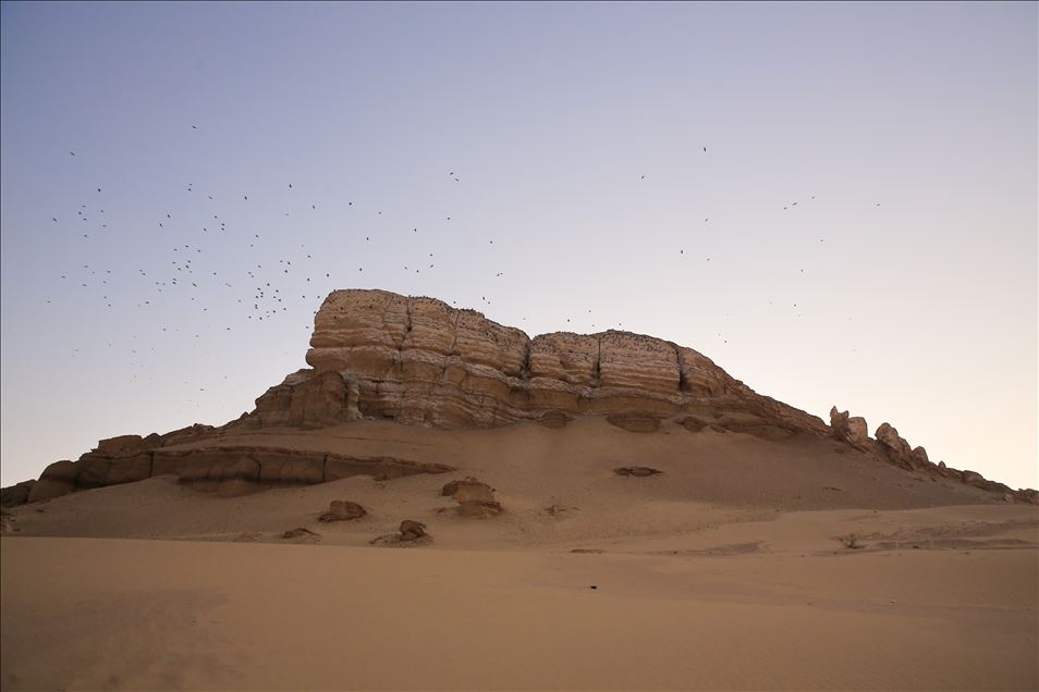 OBJEKTİFLERE TAKILAN BİRBİRİNDEN İLGİNÇ KARELER galerisi resim 13