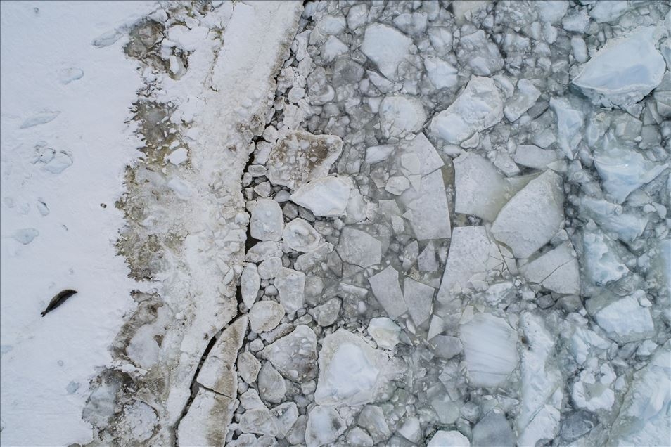 OBJEKTİFLERE TAKILAN BİRBİRİNDEN İLGİNÇ KARELER galerisi resim 3