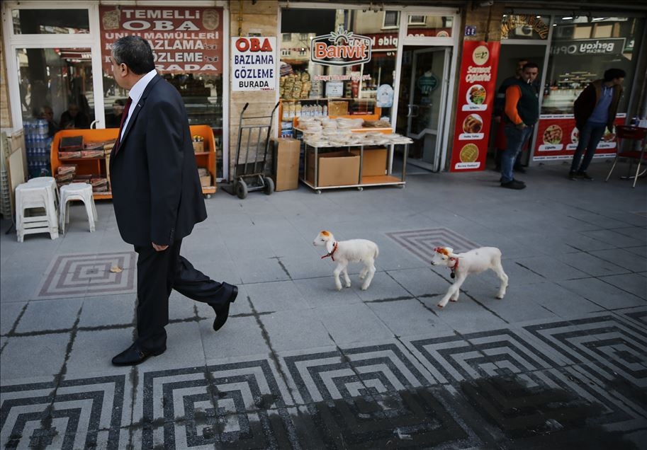 OBJEKTİFLERE TAKILAN BİRBİRİNDEN İLGİNÇ KARELER galerisi resim 30