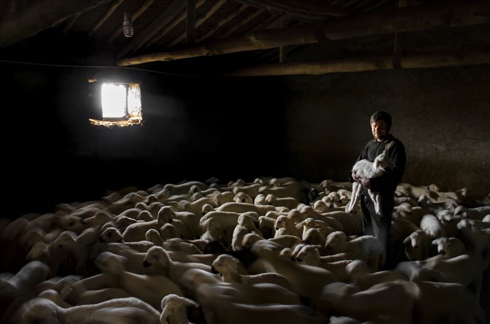 OBJEKTİFLERE TAKILAN BİRBİRİNDEN İLGİNÇ KARELER galerisi resim 8