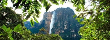 Amazonun gizlediği kayıp dünya galerisi resim 4