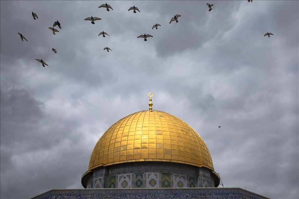 Haftaya damga vuran fotoğraflar (17-23 Mart-2019) galerisi resim 10