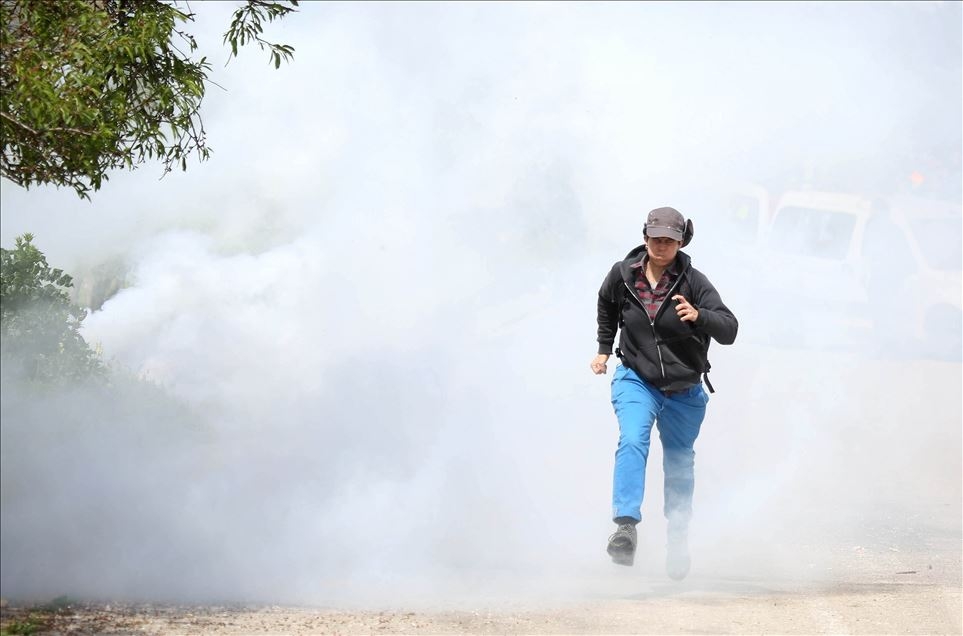 Haftaya damga vuran fotoğraflar (17-23 Mart-2019) galerisi resim 12