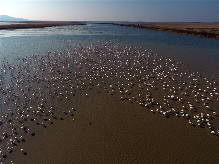 Haftaya damga vuran fotoğraflar (17-23 Mart-2019) galerisi resim 3