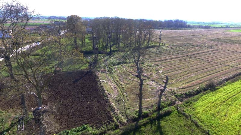 Leylekler yeniden Kızılırmak Deltası'nda galerisi resim 2