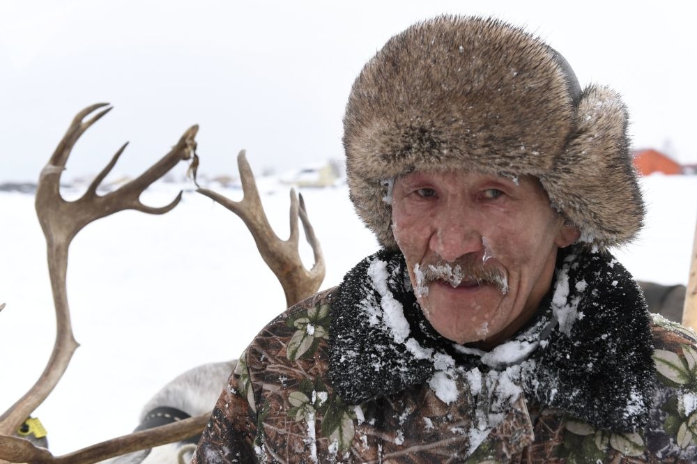 Sibirya'dan renkli kareler galerisi resim 8