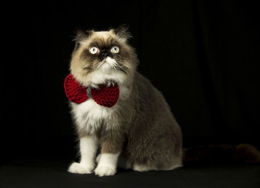 Haftaya damga vuran fotoğraflar (30-Mart-2019) galerisi resim 7