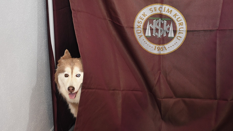 Türkiye sandık başında galerisi resim 29