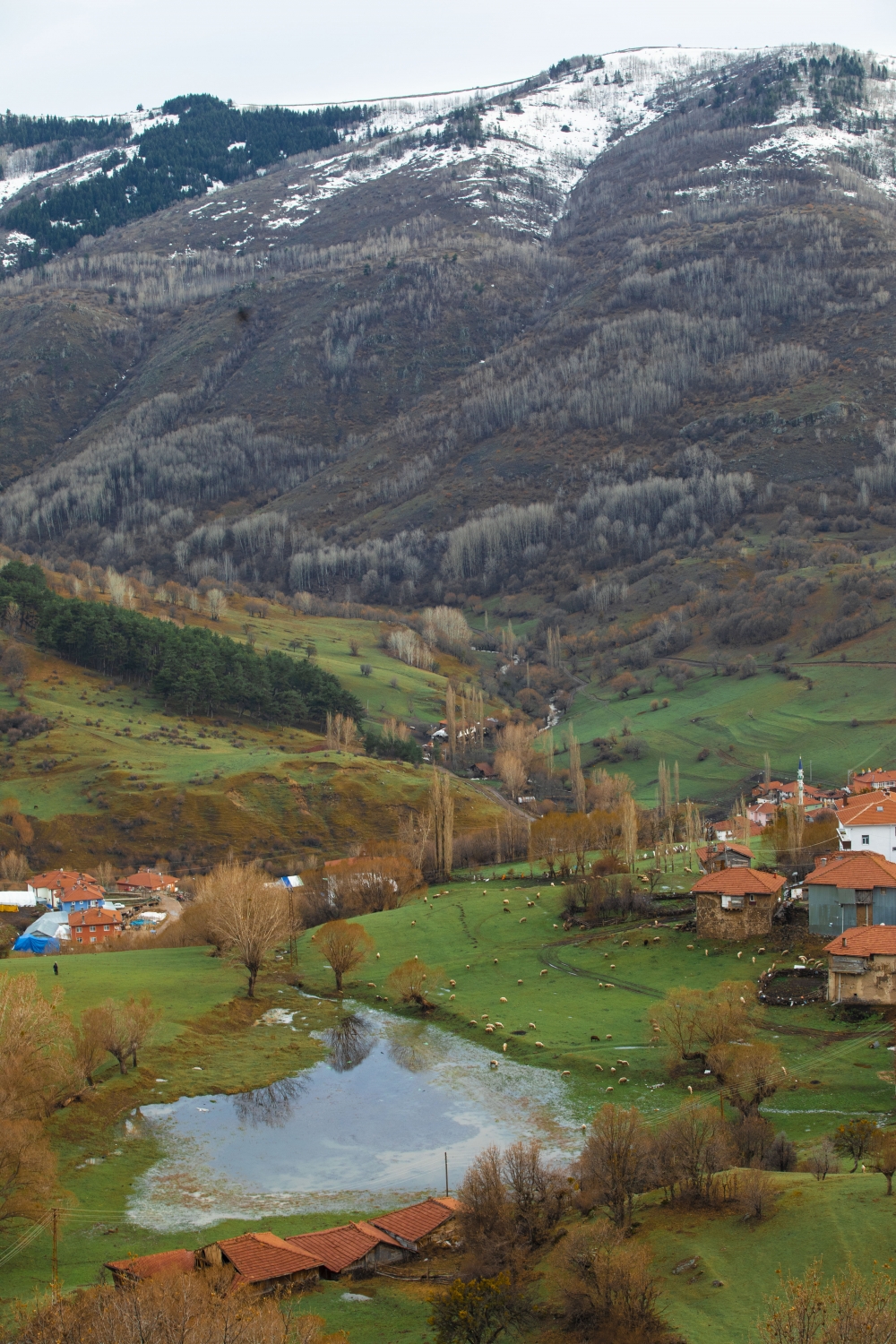 Ankara'da bahar bir başka galerisi resim 2