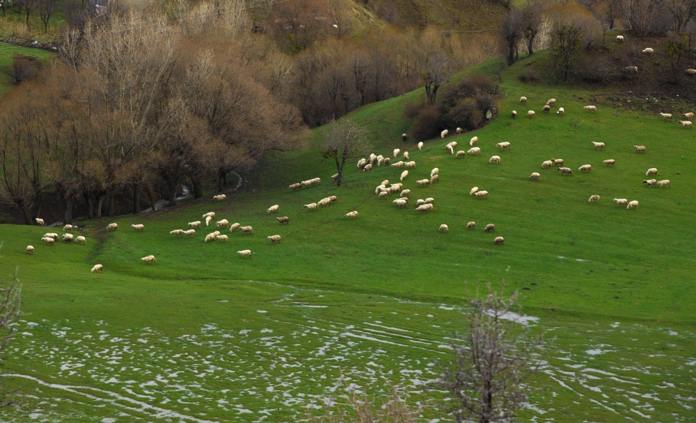 Ankara'da bahar bir başka galerisi resim 3