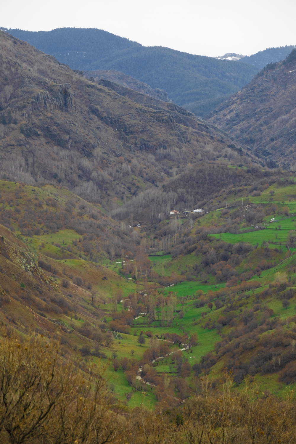 Ankara'da bahar bir başka galerisi resim 5