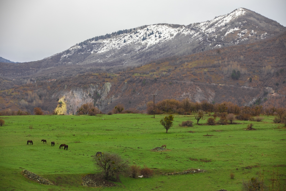 Ankara'da bahar bir başka galerisi resim 6