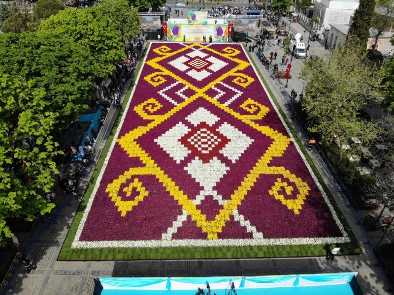 Dünyanın en büyük 'Halı Lalesi' Sultanahmet'te galerisi resim 12