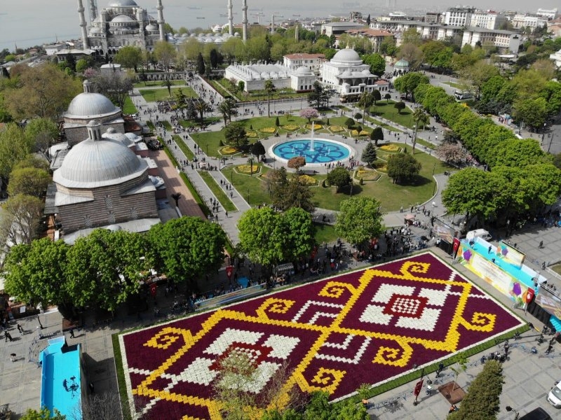 Dünyanın en büyük 'Halı Lalesi' Sultanahmet'te galerisi resim 9