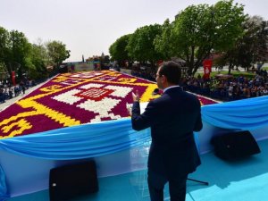 Dünyanın en büyük 'Halı Lalesi' Sultanahmet'te