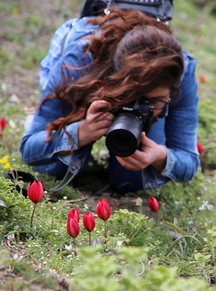Bu laleyi koparmanın cezası 60 bin lira galerisi resim 6