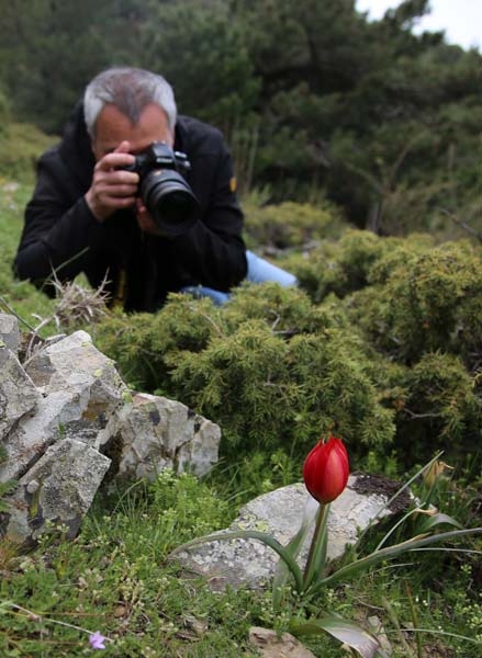 Bu laleyi koparmanın cezası 60 bin lira galerisi resim 8