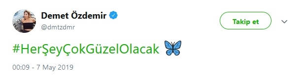 Sanatçılar YSK'nın kararına büyük tepki gösterdiler galerisi resim 29