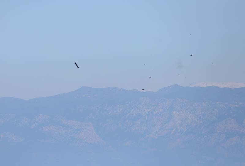 Denizkurdu-2019 Tatbikatı galerisi resim 9