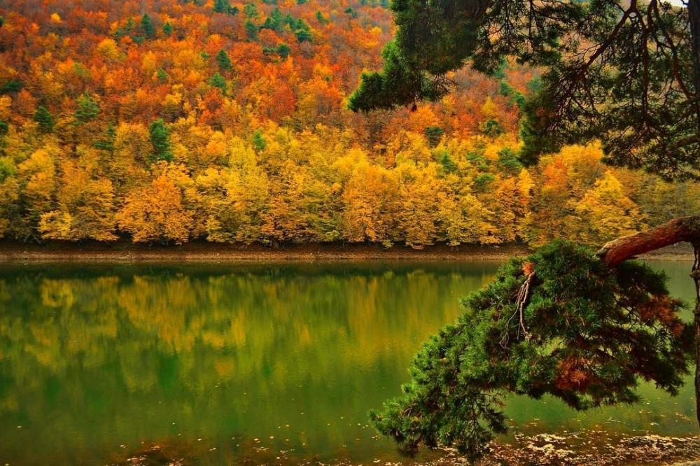 Amasya'da saklı cennet ''Borabay Gölü'' galerisi resim 5