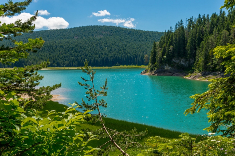Amasya'da saklı cennet ''Borabay Gölü'' galerisi resim 7