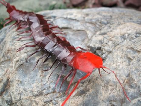 Origami dediğin böyle olur galerisi resim 15