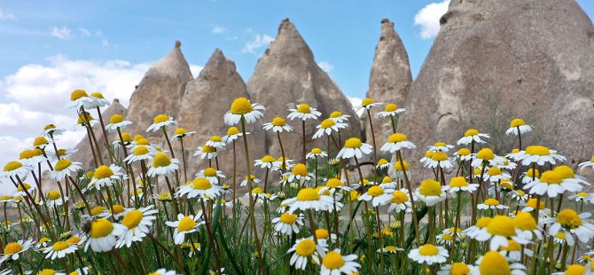 Kapadokya'nın ilkbahar manzarası büyülüyor