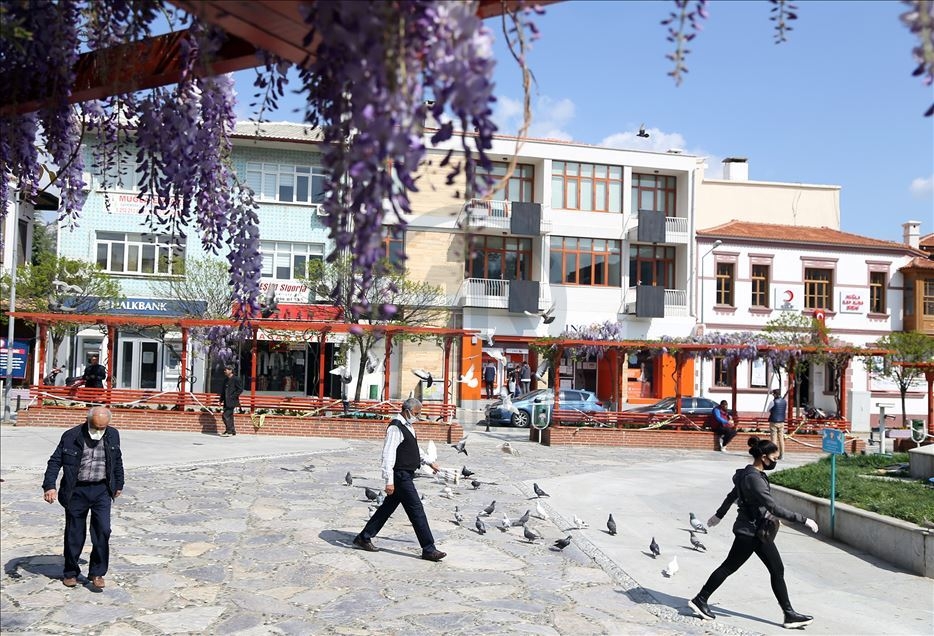 Muğla'da baharın gelmesiyle mor salkımlar görsel şölen oluşturdu galerisi resim 4