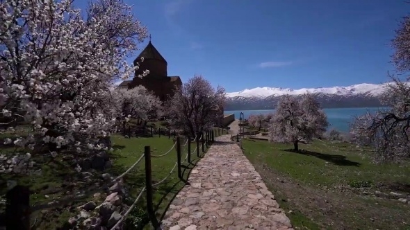 Ziyaretçisiz kalan Akdamar Adası badem çiçekleri ile görsel bir güzellik galerisi resim 2