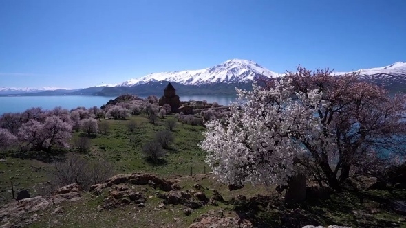 Ziyaretçisiz kalan Akdamar Adası badem çiçekleri ile görsel bir güzellik galerisi resim 3