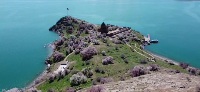 Ziyaretçisiz kalan Akdamar Adası badem çiçekleri ile görsel bir güzellik