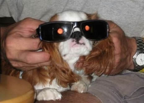 Günün en komik fotoğrafları belirlendi galerisi resim 16