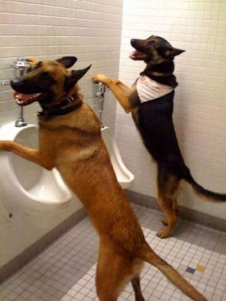 Günün en komik fotoğrafları belirlendi galerisi resim 19