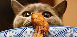 En çok tıklanan fotograflar